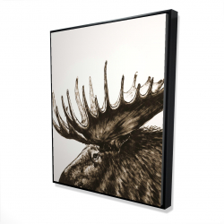 Moose plume sepia