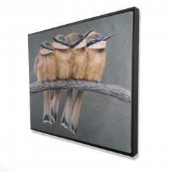 Four birds on a branch
