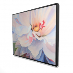 Pastel colored flower