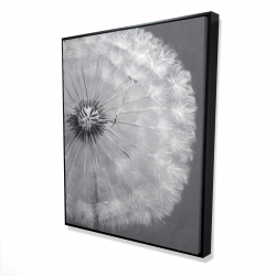 Framed 48 x 60 - 3D - Dandelion puff ball
