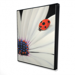 Framed 48 x 60 - 3D - White daisy and ladybug