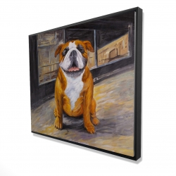 Bouledogue souriant