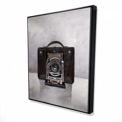 Framed 48 x 60 - 3D - Old camera
