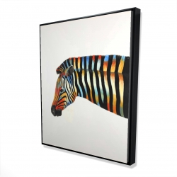 Colorful zebra