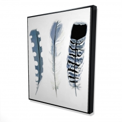Delicate blue feathers