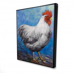 Poule grise
