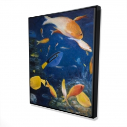 Poissons colorés sous l'océan