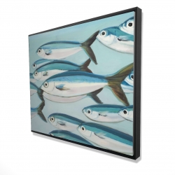 Framed 48 x 60 - 3D - Small fish of caesio caerulaurea