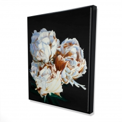 Pivoine en floraison