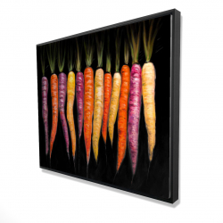 Variétés de carottes