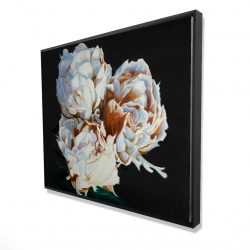 Pivoine en floraison