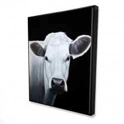 Vache blanche