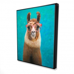 Aimable llama