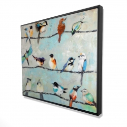 Small colorful birds