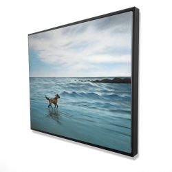 Chien à la plage