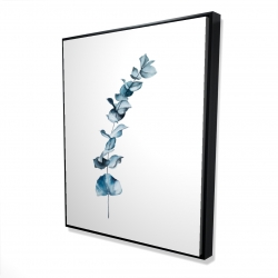Feuilles d'eucalyptus bleu
