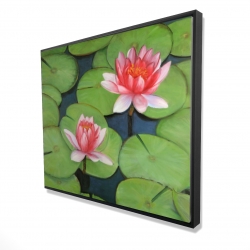 Framed 48 x 60 - 3D - Lotus flowers in a swamp