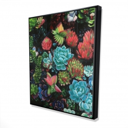 Framed 48 x 60 - 3D - Set of colorful succulents