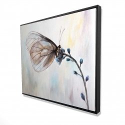 Papillon sur fleurs bleues