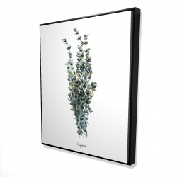 Thyme leaves bundle - en