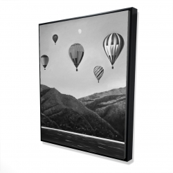 Air balloon landscape