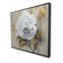 Encadré 48 x 60 - 3D - Pivoine blanche