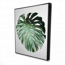 Monstera leaf