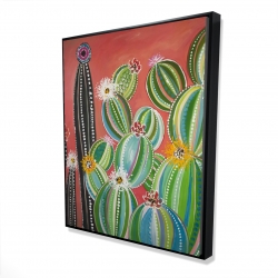 Cactus en arc-en-ciel