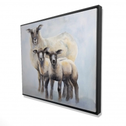 Framed 48 x 60 - 3D - Sheep family