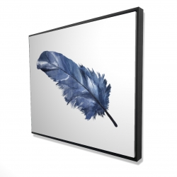 Blue feather