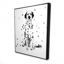 Chien dalmatien