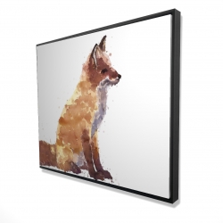 Red fox