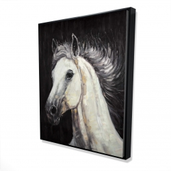 White star horse