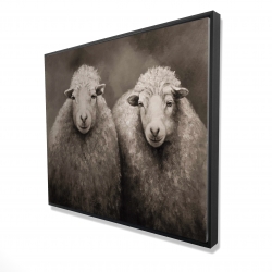 Moutons sépia