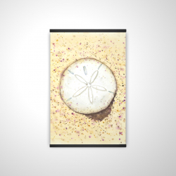 Dollars des sables