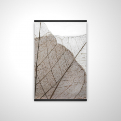 Feuilles séchées translucides