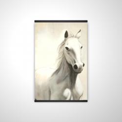 Gallant white horse