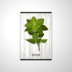 Origan sur bois