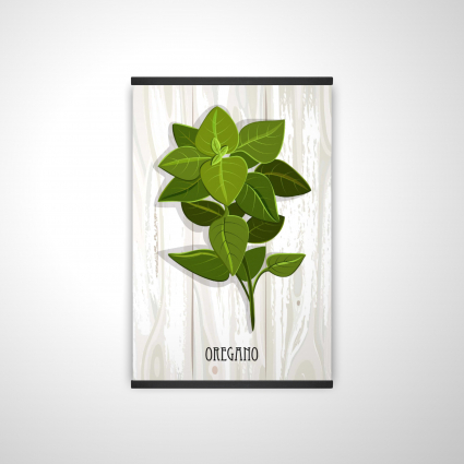 Origan sur bois