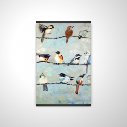 Small colorful birds