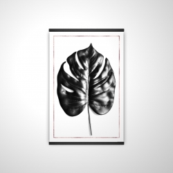 Split leaf philodendron with rose line