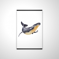 Baleine bleue aquarelle