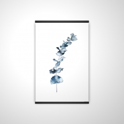 Feuilles d'eucalyptus bleu