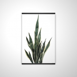 Magnétique 20 x 30 - 3D - Plante couteau