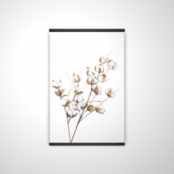 Une branche de fleurs de coton