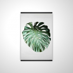 Monstera leaf