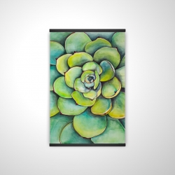 Succulent à l'aquarelle