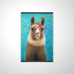 Aimable llama