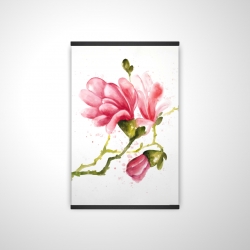 Magnolia flowers