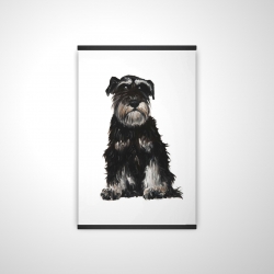 Schnauzer nain